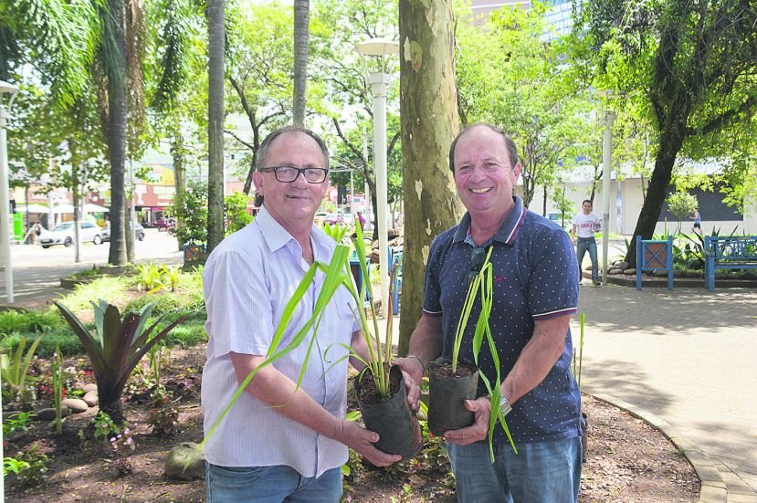 Iniciativa: Secretário do Meio Ambiente José Orth entregou uma muda da planta ao diretor do AG, Mauri Spengler