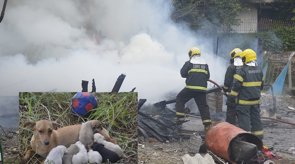Incêndio destrói depósito de pneus no bairro Imigrante Sul 1 Incêndio destrói depósito de pneus no bairro Imigrante Sul