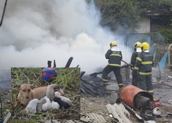 Incêndio destrói depósito de pneus no bairro Imigrante Sul