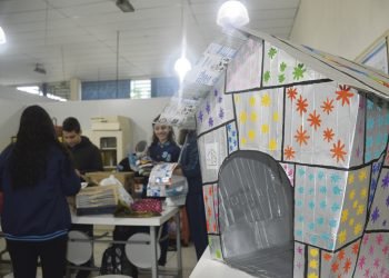 Com caixas de leite, alunos montam casinhas para cães de rua