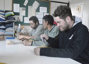 Para aquecer e alimentar 5 Para aquecer e alimentar