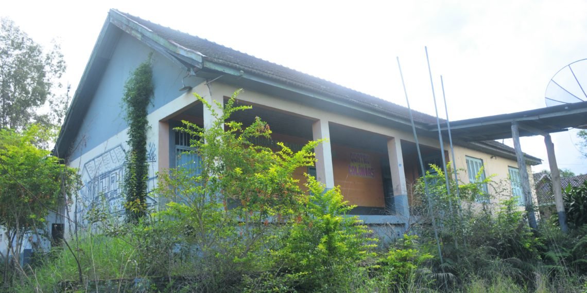 Irmãos de Campo Bom conquistam medalhas de ouro no Festival Internacional de Taekwondo