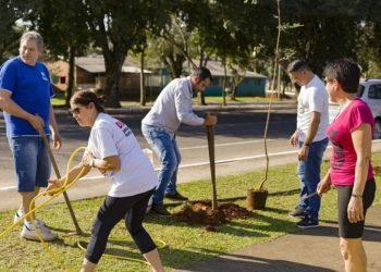 Meio Ambiente e voluntários promovem arborização na academia de saúde 8 Meio Ambiente e voluntários promovem arborização na academia de saúde