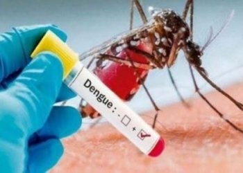 Campanha de Combate à dengue é intensificada em Campo Bom