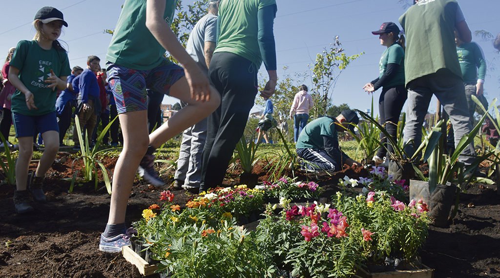 Mudas de árvores e flores ocupam locais de descarte de lixo e entulho 1 Mudas de árvores e flores ocupam locais de descarte de lixo e entulho