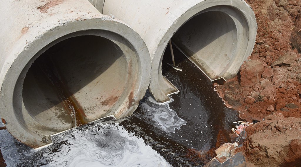 Laudo da Fepam aponta soda cáustica em vazamento que provocou mortes de animais 1 Animais mortos em arroio denunciam desastre ambiental