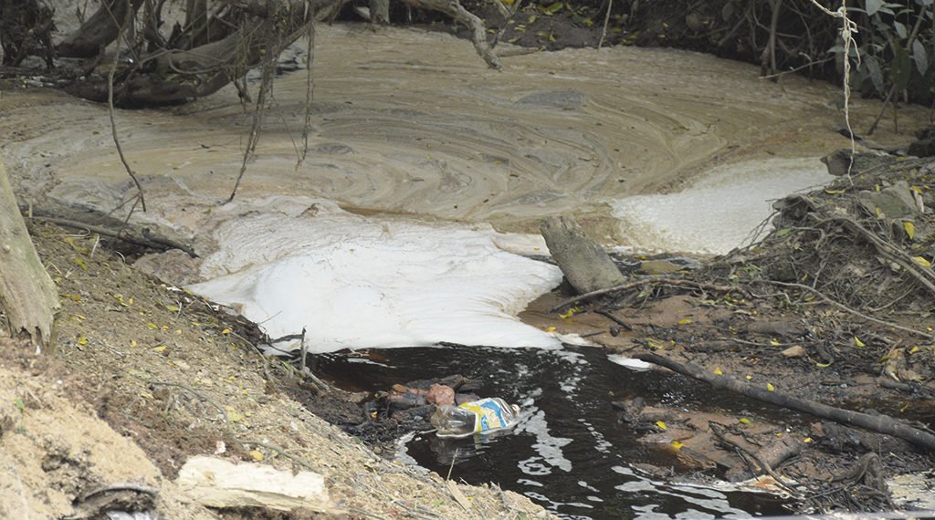 Animais mortos em arroio denunciam desastre ambiental 1 Animais mortos em arroio denunciam desastre ambiental