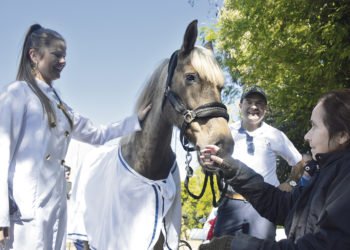 Hospital realiza primeira sessão de equoterapia, projeto pioneiro no Estado 8 Hospital realiza primeira sessão de equoterapia, projeto pioneiro no Estado