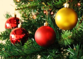 Cartas do projeto ‘Árvore Solidária’ podem ser adotadas no Centro Administrativo