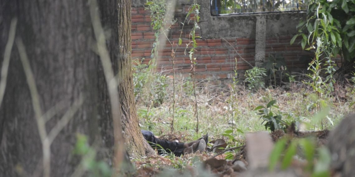 af738d0e 94a8 4259 9d78 17ec5784d4a6