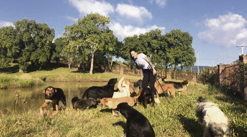 A defensora dos animais que se dedica à causa há mais de dez anos