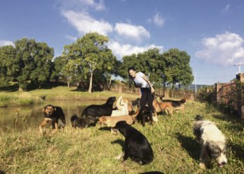 A defensora dos animais que se dedica à causa há mais de dez anos