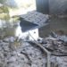 Baixa do Rio dos Sinos acende sinal de alerta para consumo consciente 7 Baixa do Rio dos Sinos acende sinal de alerta para consumo consciente