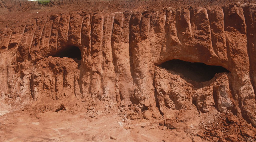 Operários descobrem toca de animal pré-histórico em Campo Bom 1 Operários descobrem toca de animal pré-histórico em Campo Bom