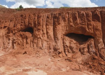 Operários descobrem toca de animal pré-histórico em Campo Bom