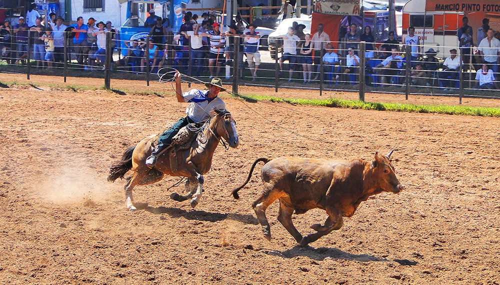 Aluguel de lotes para acampar durante o 42º Rodeio Nacional de Campo Bom ocorre no dia 20 de fevereiro 1 Lançamento oficial do 42º Rodeio Nacional de Campo Bom acontece terça-feira