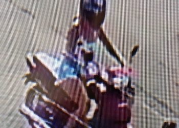 Câmera registra abandono de filhotes de cachorro em lixeira