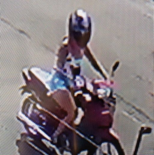 Câmera registra abandono de filhotes de cachorro em lixeira