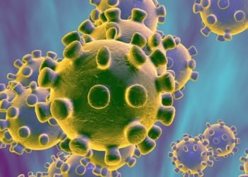 Covid-19: balanço semanal apresenta drástico número de óbitos em uma semana no município 9 Campo Bom registra primeiro caso suspeito de coronavírus