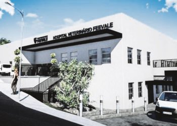 Obras do hospital veterinário de Campo Bom devem iniciar neste mês 5 Obras do hospital veterinário de Campo Bom devem iniciar neste mês