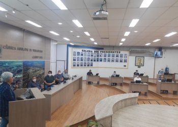 No plenário, Secretária de Saúde detalha plano de enfrentamento ao coronavírus