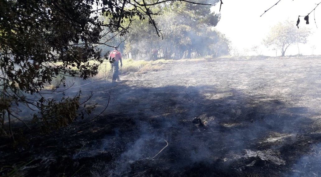 Prefeitura de Campo Bom autua morador que provocou incêndio ao incinerar móveis 1 Prefeitura de Campo Bom autua morador que provocou incêndio ao incinerar móveis