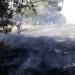 Prefeitura de Campo Bom autua morador que provocou incêndio ao incinerar móveis