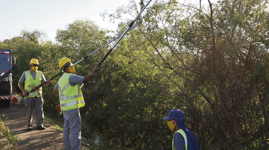 Bairros campo-bonenses terão podas de árvores nos próximos dias; veja calendário