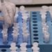 Mais de 1200 doses do imunizante CoronaVac foram aplicadas hoje 5 O avanço silencioso da COVID-19 entre os campo-bonenses