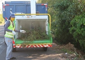 Prefeitura  já contabiliza mais de mil podas realizadas