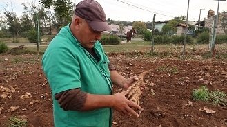 Central de Compostagem Comunitária está em funcionamento 1 Central de Compostagem Comunitária está em funcionamento