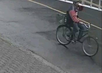 Câmeras flagram ladrão roubando escada