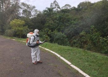 Campo Bom faz desinsetização para controle do Aedes aegypti