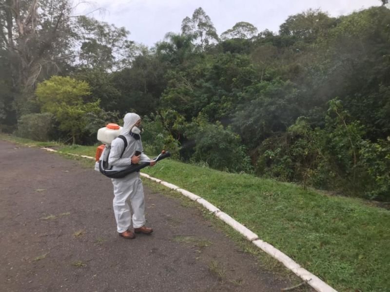 dengue