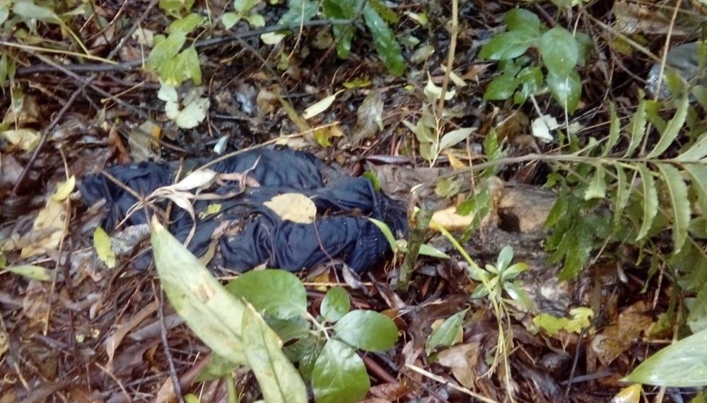 Polícia apura se ossada é de jovem desaparecido em Campo Bom