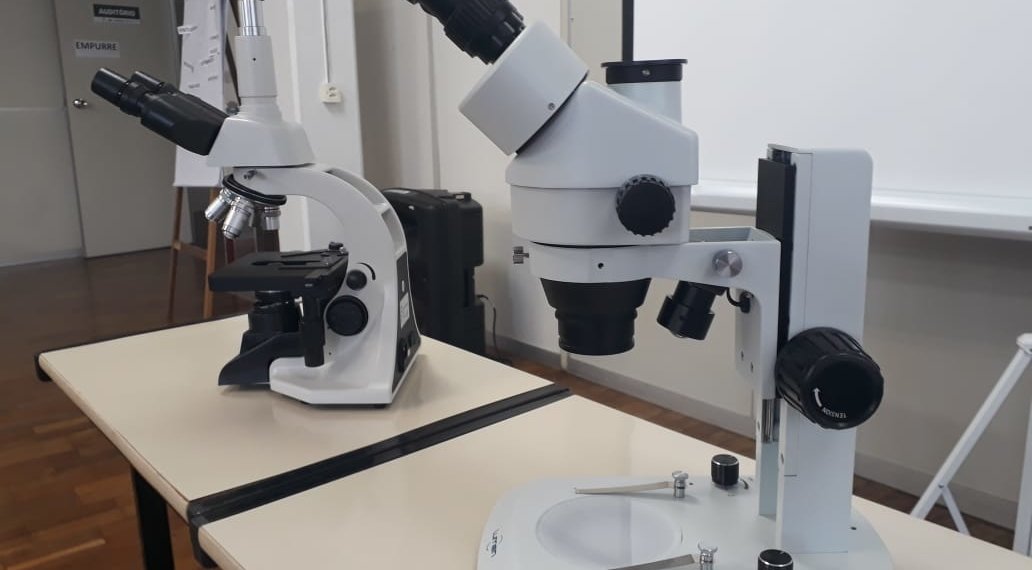 Prefeitura entrega microscópios e lupas para escolas municipais de Campo Bom 1 Prefeitura entrega microscópios e lupas para escolas municipais de Campo Bom