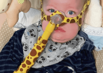 Voluntários promovem pedágio solidário na campanha Ame João Emanuel