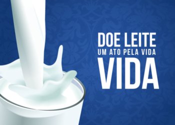 Lar Colmeia precisa de doações de leite