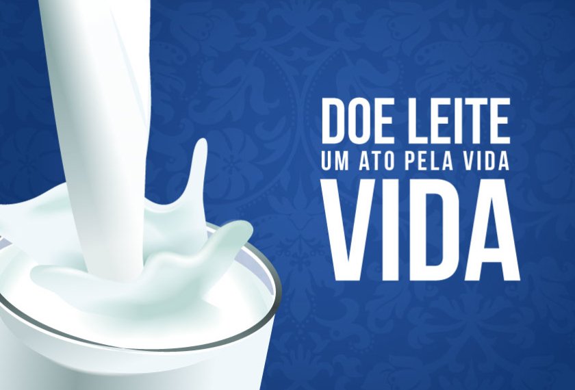 Lar Colmeia precisa de doações de leite 1 Lar Colmeia precisa de doações de leite