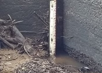 Rio do Sinos chegou ao menor nível em seis meses em Campo Bom