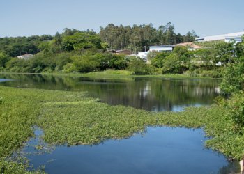 Moradores questionam mau cheiro de arroio