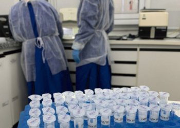 Cinco novas mutações de Covid-19 são descobertas pela Universidade Feevale