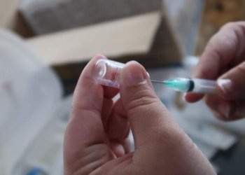 Divulgado novo grupo para a próxima fase de vacinação