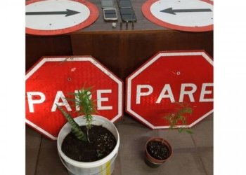 Brigada Militar apreende plantas de maconha no bairro Paulista 2 Brigada Militar apreende plantas de maconha no bairro Paulista