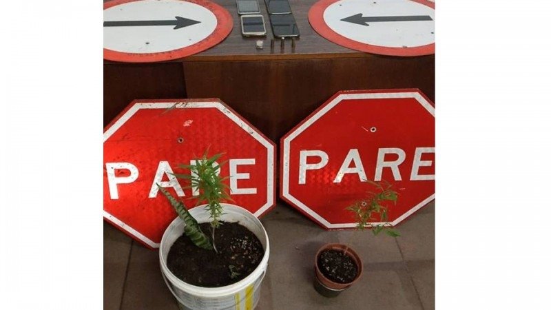 Brigada Militar apreende plantas de maconha no bairro Paulista