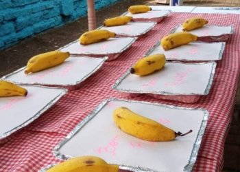 Campo Bom retoma a distribuição de refeições para os alunos da rede municipal