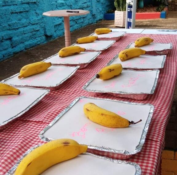 Campo Bom retoma a distribuição de refeições para os alunos da rede municipal