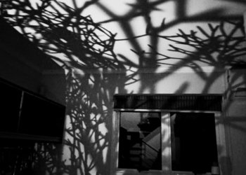 O cotidiano através da fotografia: Campo-bonense é premiada em concurso Argentino