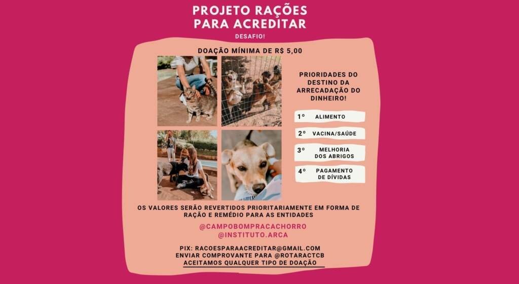 Projeto do Rotaract visa ajudar a causa animal 1 Projeto do Rotaract visa ajudar a causa animal