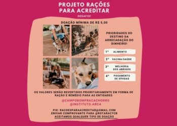 Projeto do Rotaract visa ajudar a causa animal